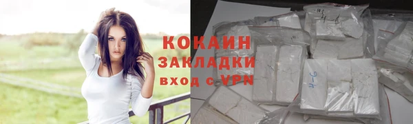ПСИЛОЦИБИНОВЫЕ ГРИБЫ Нязепетровск
