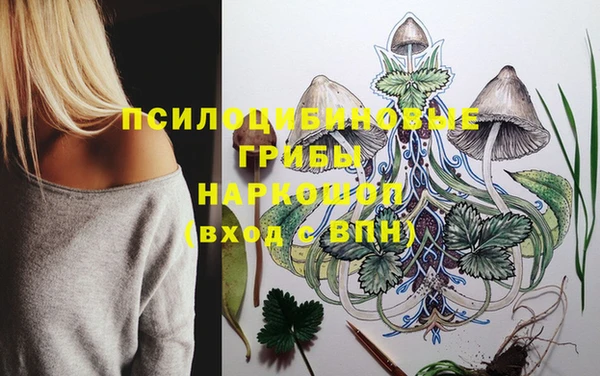 a pvp Абинск